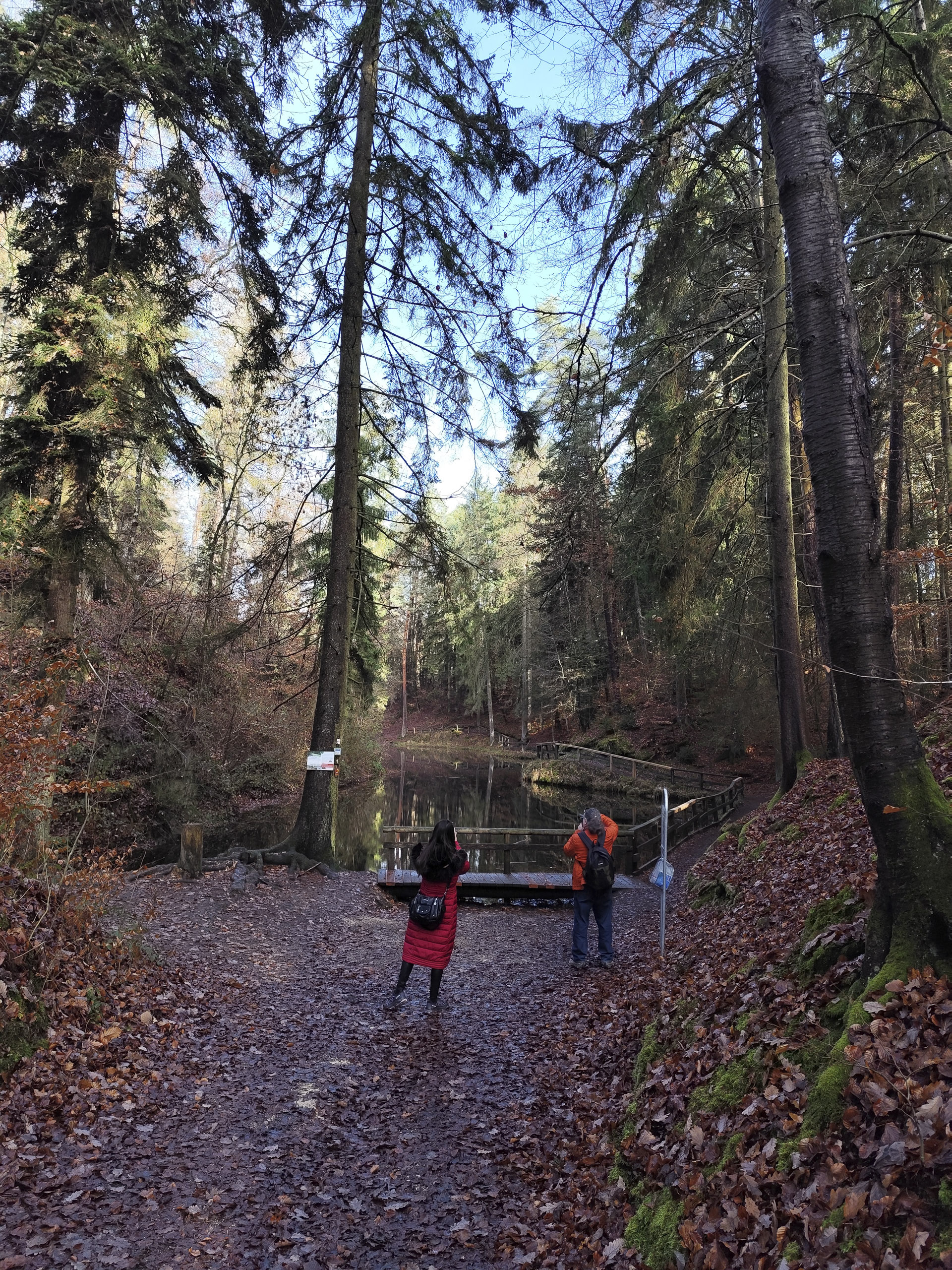 20251129115955 IMG 20251129 115955